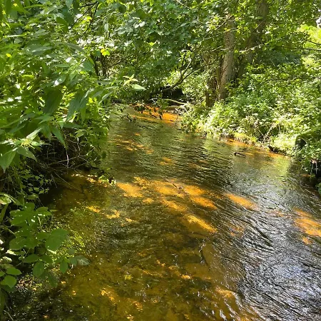 Apartamento Gruen In Gruen *