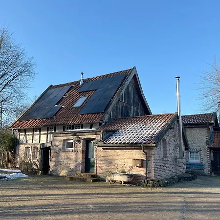 Apartamento Gruen In Gruen Detmold