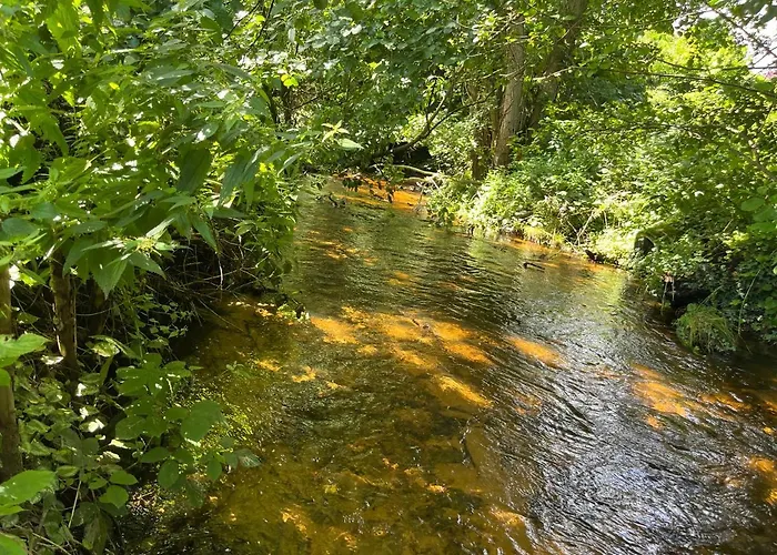 Appartamento Gruen In Gruen *