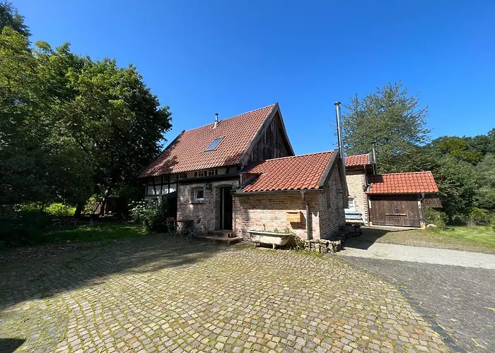 Gruen In Gruen * Detmold