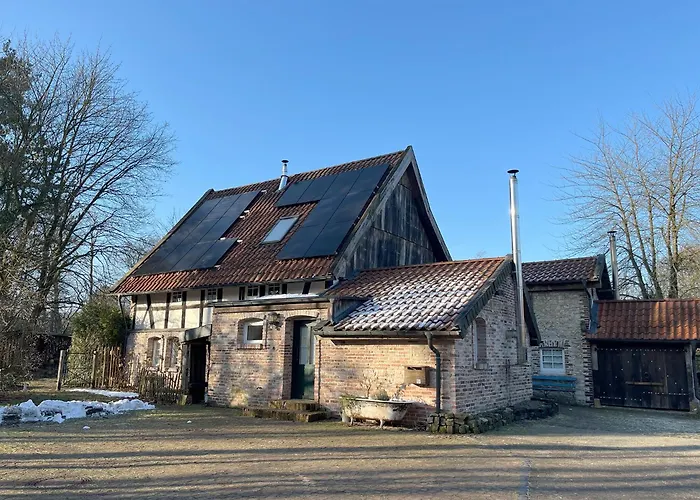 Lägenhet Gruen In Gruen Detmold